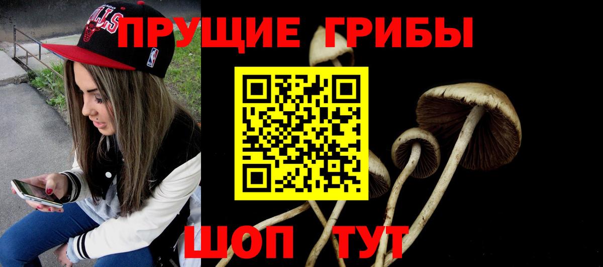 Солнечногорск  Галлюциногенные грибы мицелий  Вход с VPN 