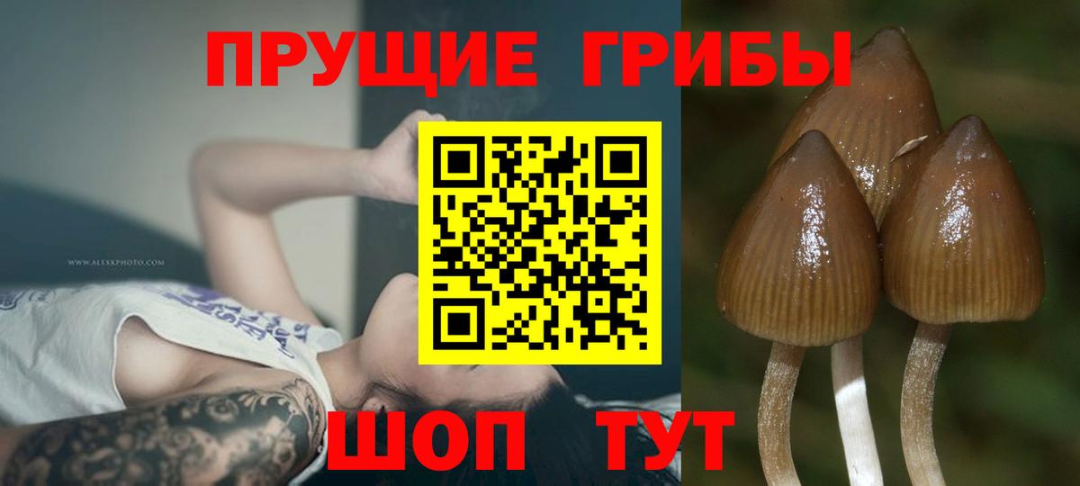 Галлюциногенные грибы Magic Shrooms Солнечногорск
