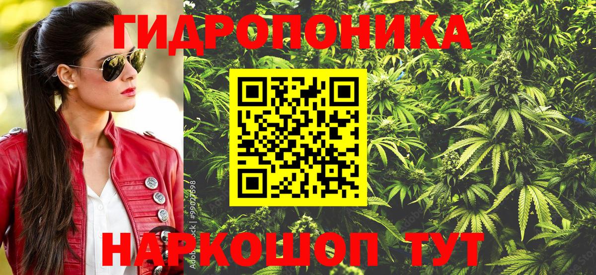 Солнечногорск  Шишки марихуана White Widow  Конопля марихуана  Вход с VPN  Каннабис план 
